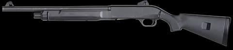 Rezi 12