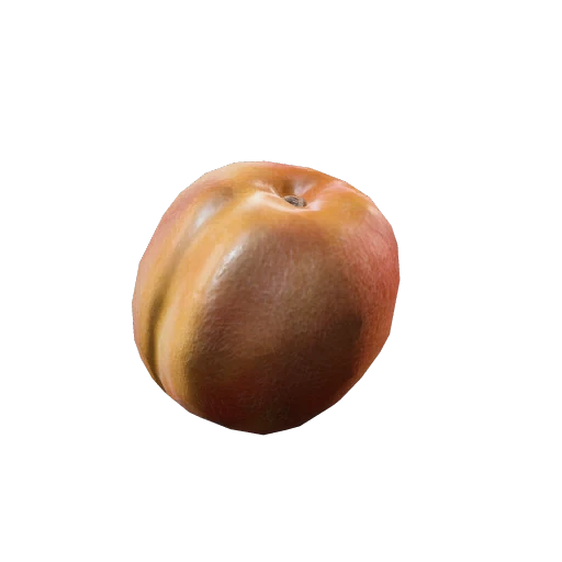 Apricot