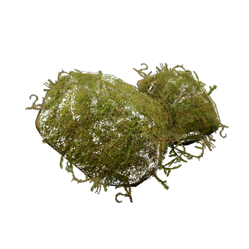 Moss