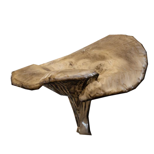 Mushroom