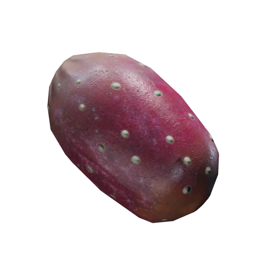 Prickly Pear