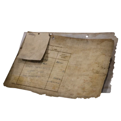 Ancient Fort Security Code