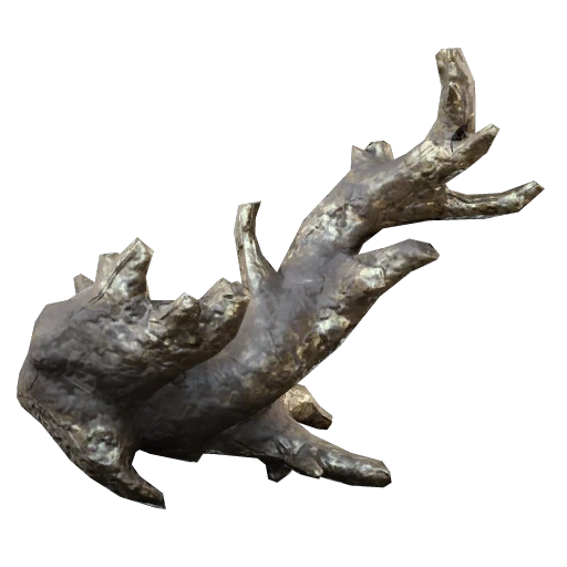 Fossilized Lightning