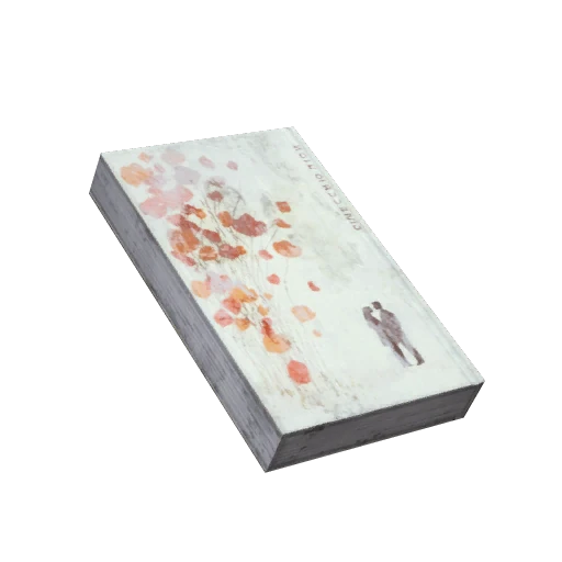 Library Book