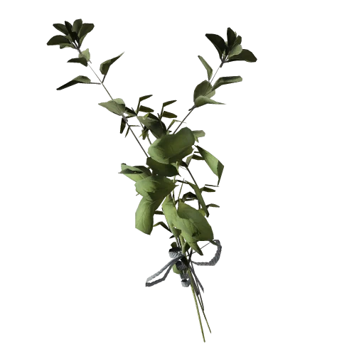 Great Mullein